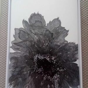 Nuit en fleur