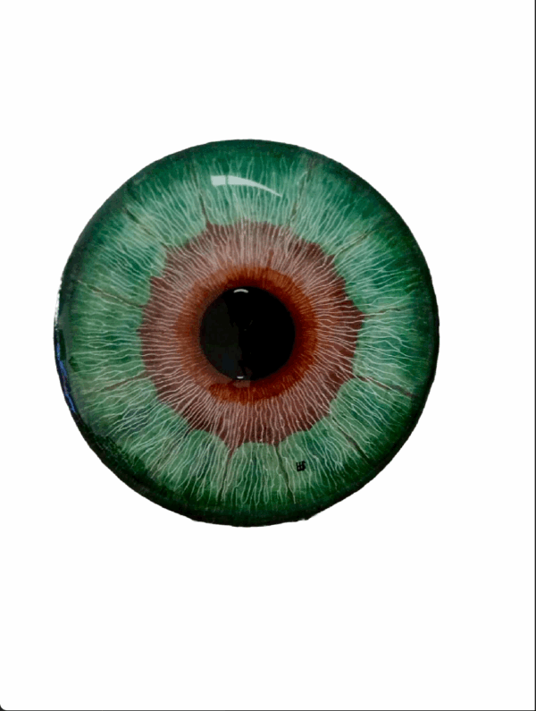 Œil vert-brun