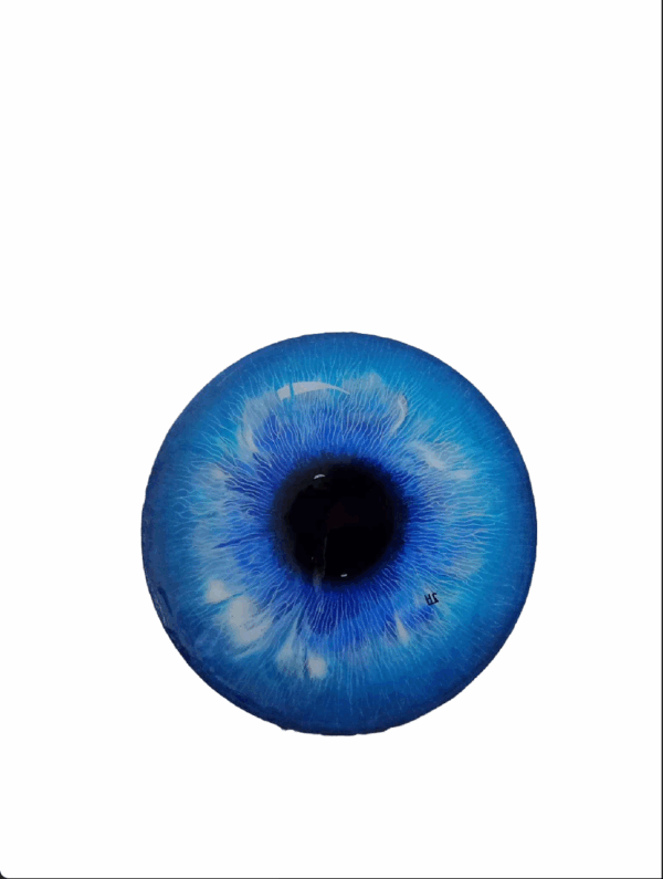 Œil bleu