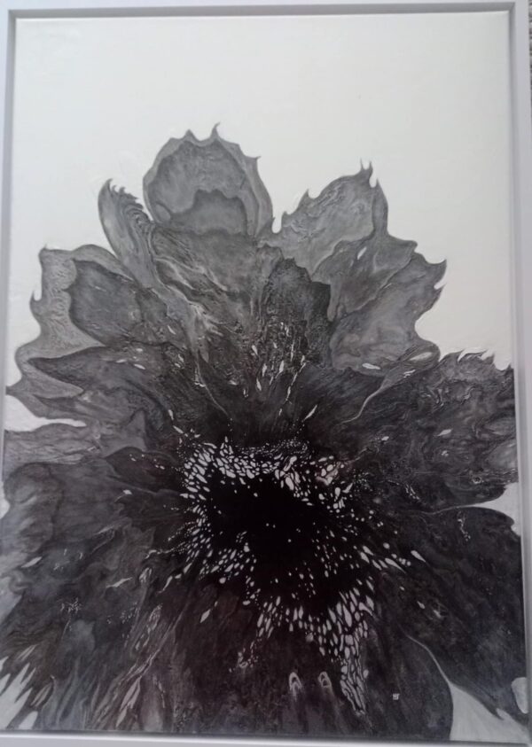 Nuit en fleur